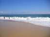 Departement Landes Aquitaine Südwestfrankreich