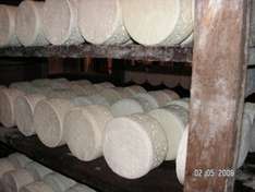 Käse Käsesorten Südfrankreich und Korsika