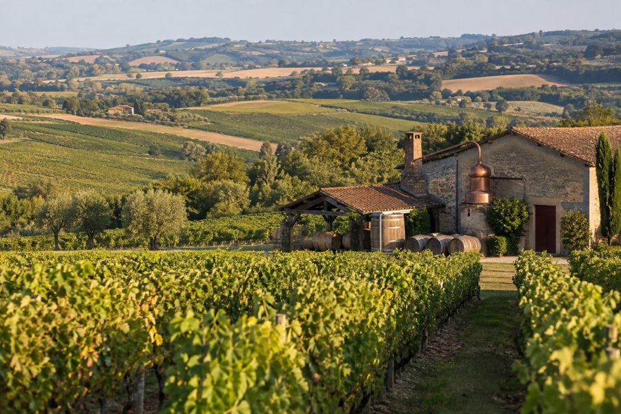 Armagnac-Landschaft in der Gascogne