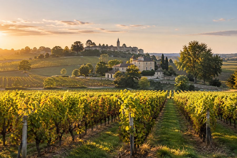 KI-Symbolbild: Weinlandschaft bei Saint-Émilion