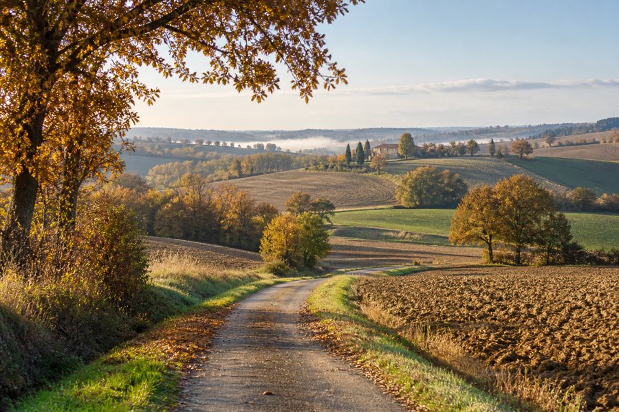 Herbstliche Hügellandschaft der Gascogne