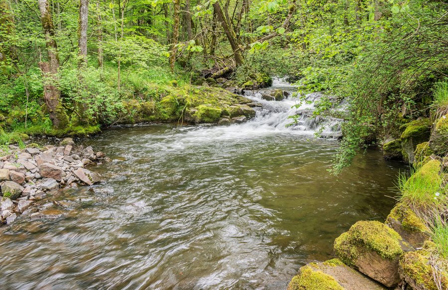 File:Petite Rhue d'Eybes in Cheylade (4).jpg