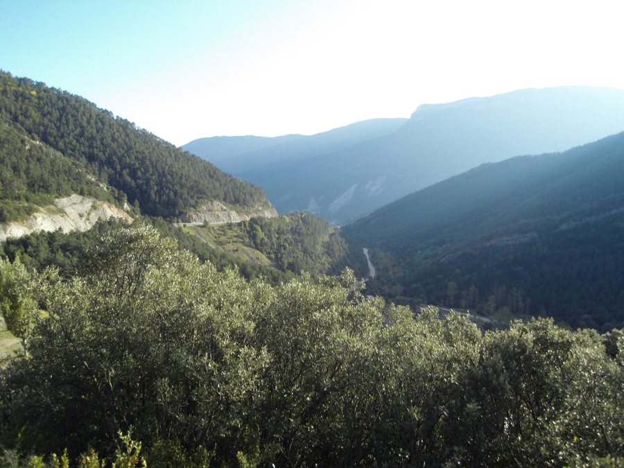 Bewaldetes Bergtal in den Pyrenäen
