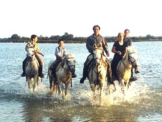 Reiten in der Camargue