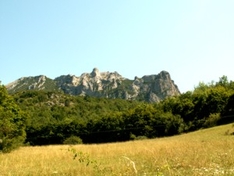 Pyrenees-Orientales