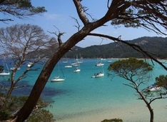 Ile de Porquerolles Inseln (Iles d'Hyères) Südfrankreich