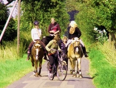 Reiten in Südfrankreich Reitsport Pferde