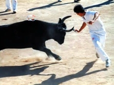 Course Camarguaise