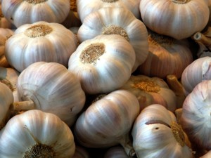 Knoblauch