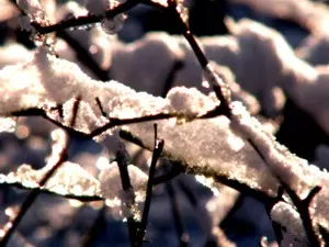 Schneeschuhwandern Schneewanderungen Winterwanderungen in Südfrankreich