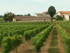 Weingut im Medoc