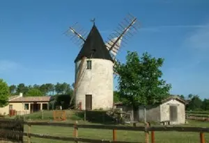 Bas-Médoc Wein Weinanbaugebiet (Bordeaux) Südfrankreich